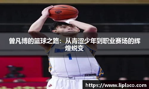 曾凡博的篮球之路：从青涩少年到职业赛场的辉煌蜕变